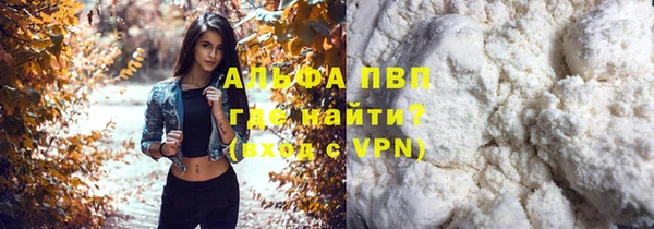 эйфоретик Арсеньев